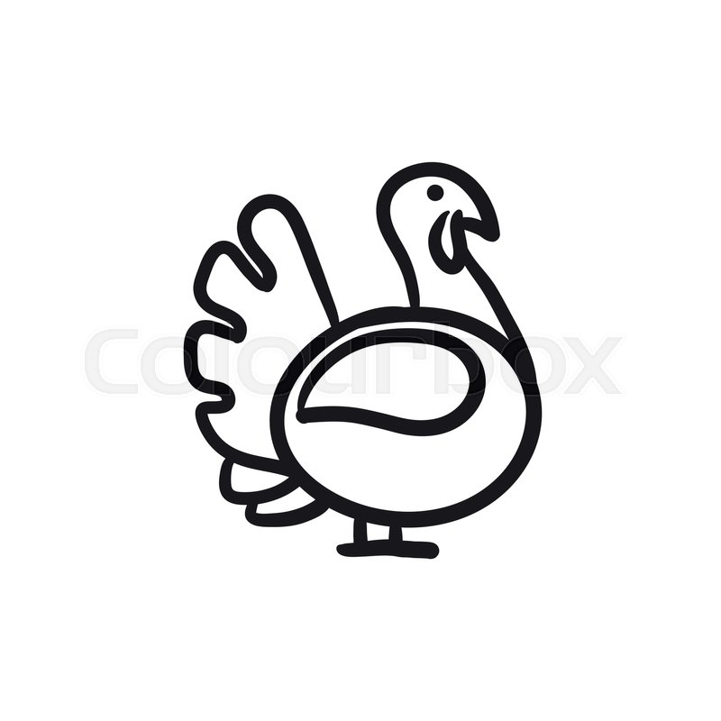 800x800 Turkey Sketch Icon For Web, Mobile And Stock Vector Colourbox