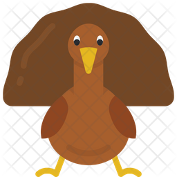 256x256 Turkey Icon Of Flat Style