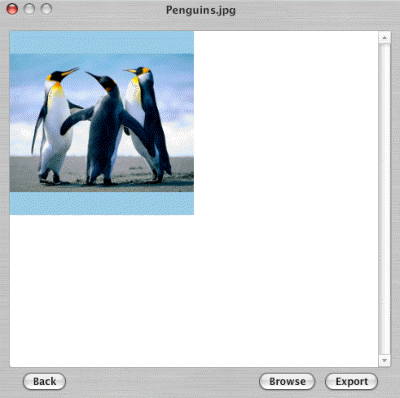 400x398 How To Turn Your Personal Pictures Into Windows Icons The Really