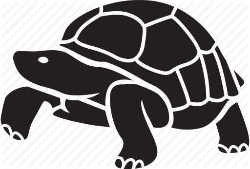 512x347 Sea Turtle Background Clipart