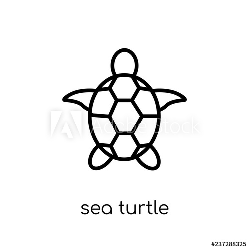 500x500 Sea Turtle Icon From Summer Collection