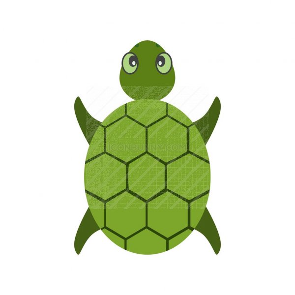 600x600 Turtle Flat Multicolor Icon