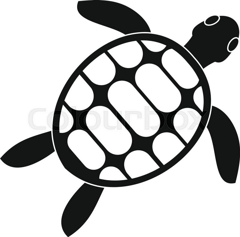800x791 Turtle Icon Simple Illustration Of Stock Vector Colourbox