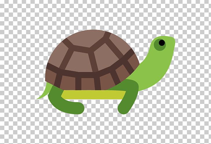728x496 Green Sea Turtle Icon Png, Clipart, Animal, Animals, Background