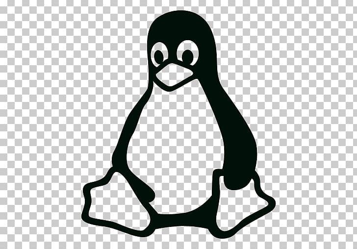 728x508 Linux Computer Icons Tux Png, Clipart, Beak, Bird, Black And White