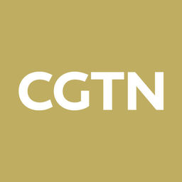 256x256 Cgtn