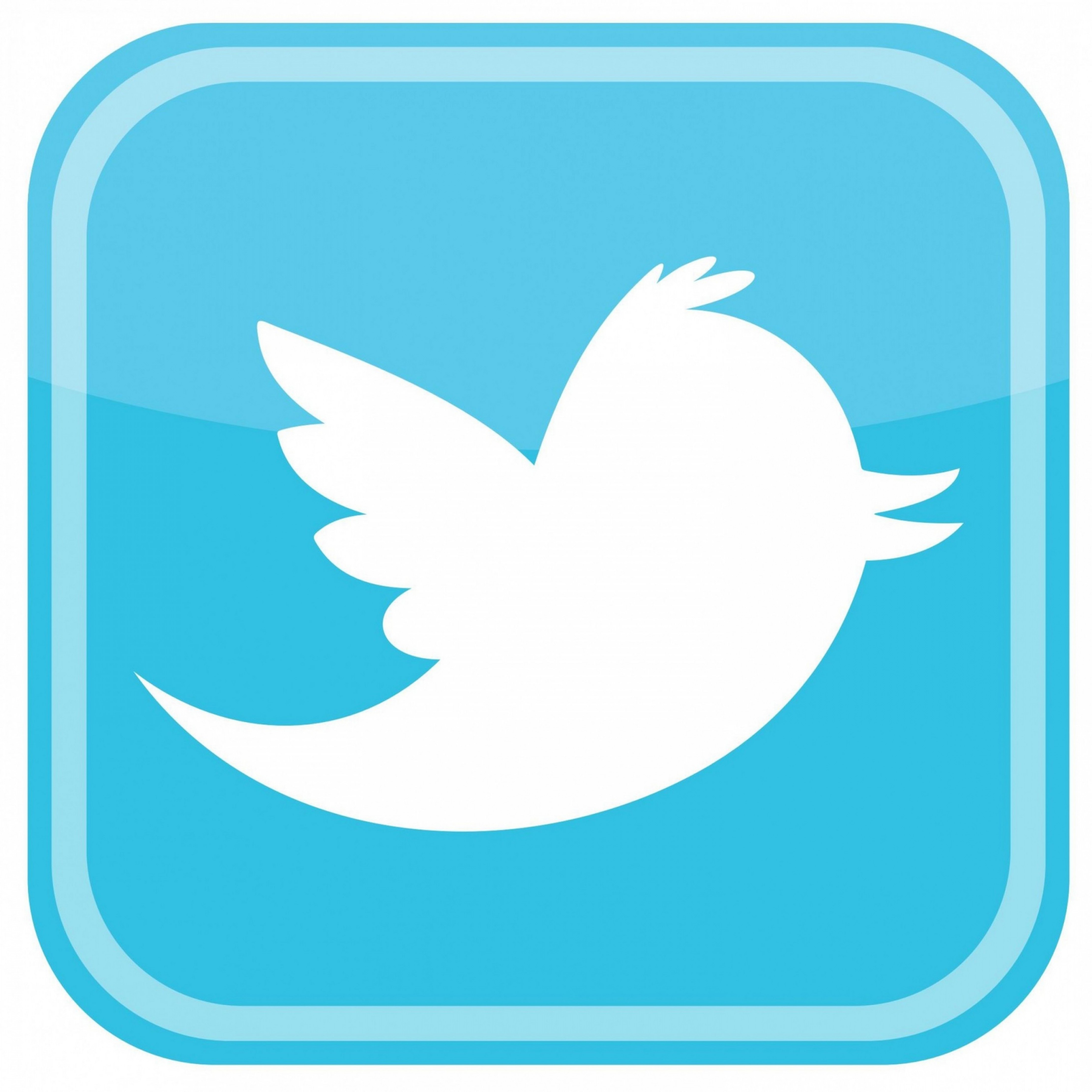 4442x4442 Twitter Bird Icon Logo Vector Soidergi