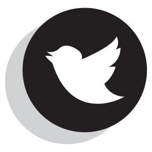 300x300 Twitter Flat Design Vector Web Icon Round Orange Internet Button