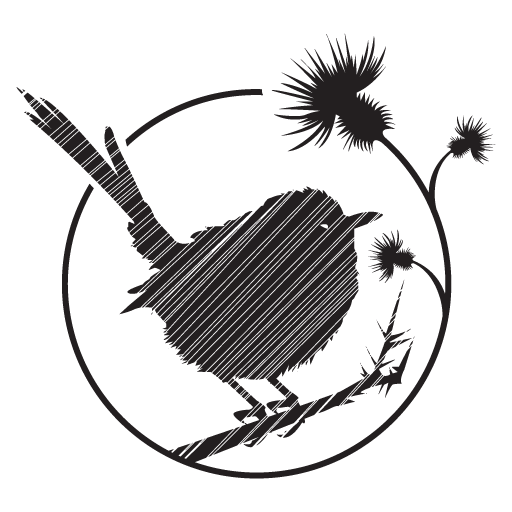 512x512 Cropped Tw Icon Thistle Wren