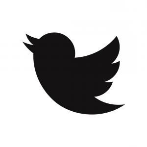 300x300 Twitter Icon Tweet New Message Sign Cqrecords