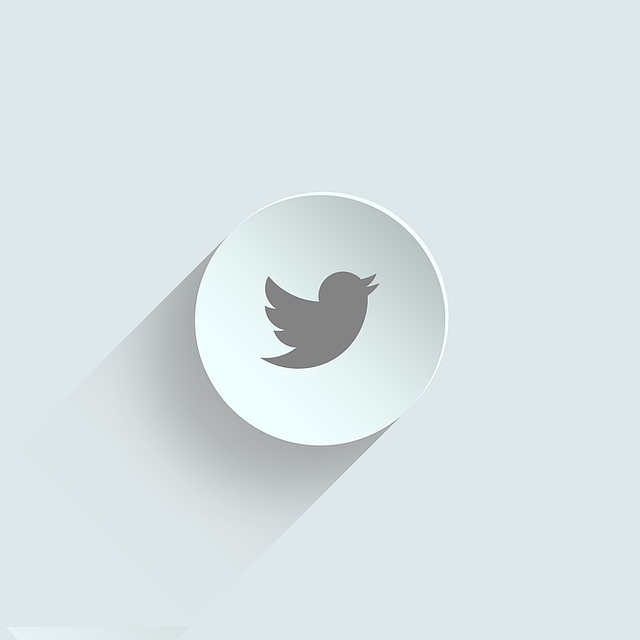 640x640 Free Photo Icon Twitter Icon Social Tweet Twitter Social Icon