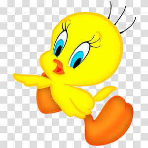 300x300 Iconos Y S, Mis Videos Lady Pink, Pink Tweety Bird Folder Icon