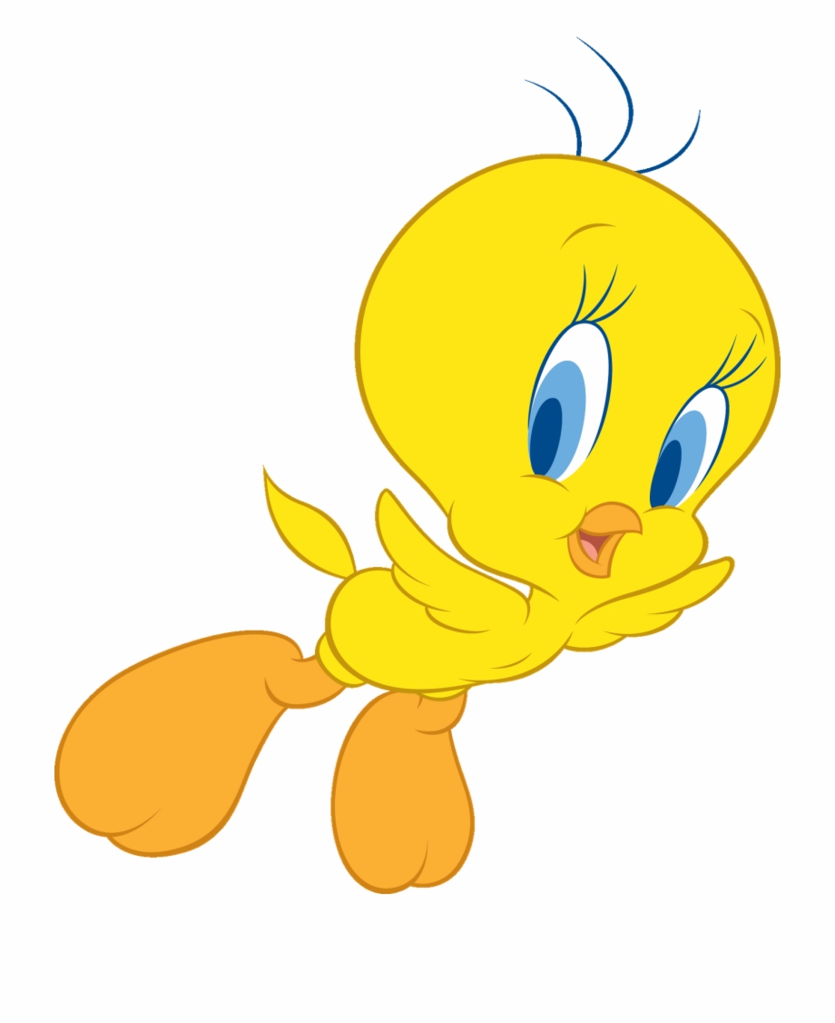 920x1126 Image Gallery