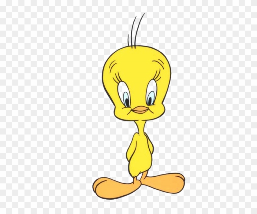 840x700 Tweety Bird Png Image