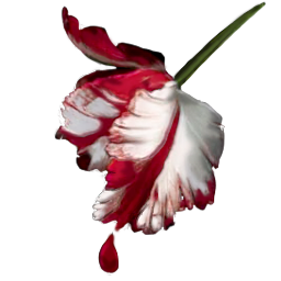 256x256 New Moon Icon