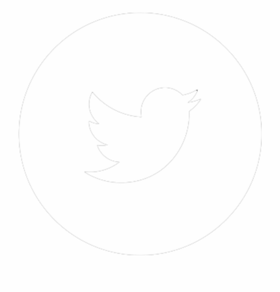 920x960 Twitter Circle Png