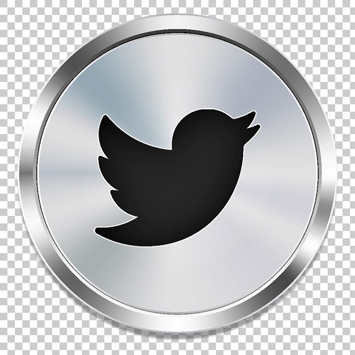 Twitter Silver Icon Png Image Free Download 715x715 Twitter Silver Icon Png Image Free Download