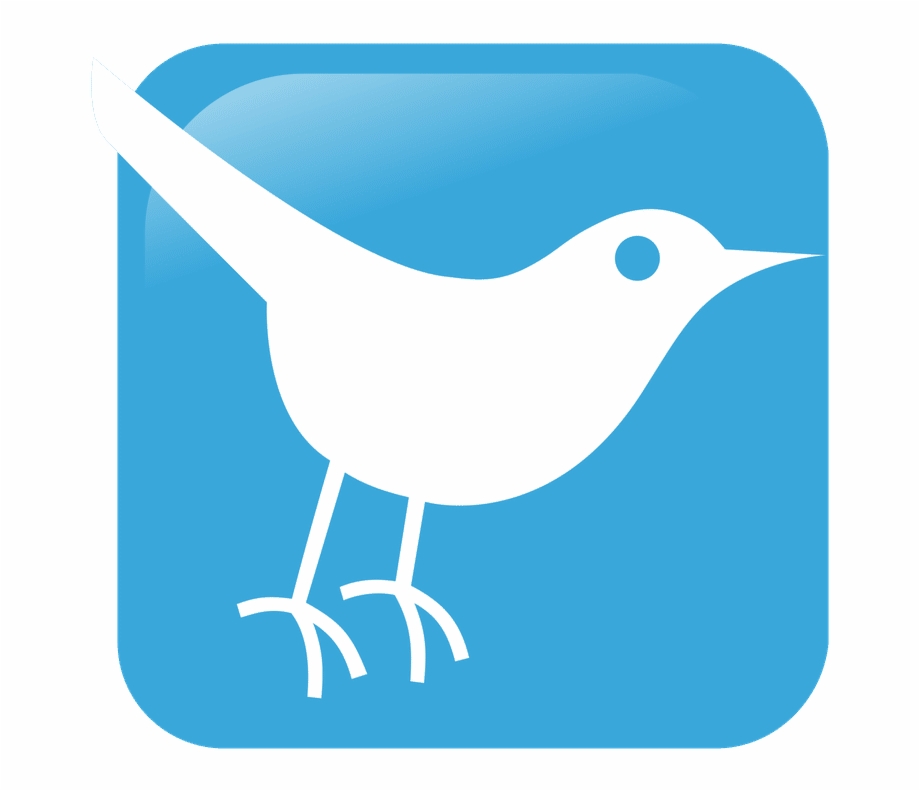 920x791 Twitter Blue Bird Icon