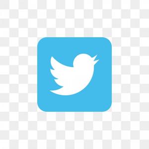 300x300 Twitter Icon Tweet New Message Twt Cqrecords