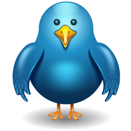 256x256 Twitter Bird Icon