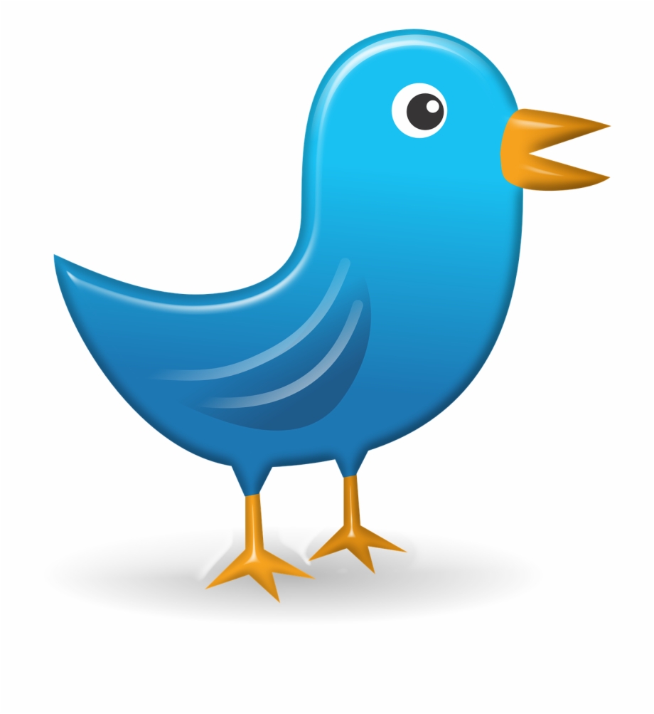 920x1003 Twitter Icon Web Network Bird Png Image