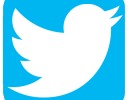 256x200 Twitter Bird Icon Png Png Image