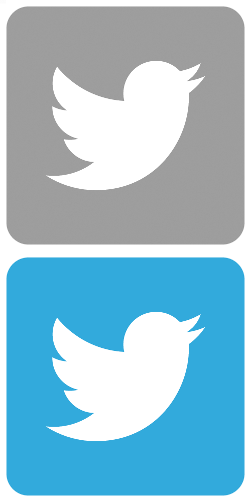 500x1000 White Twitter Bird Icon Logo Image