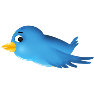 360x360 Twitter Bird Icons, Free Icons In Twitter Bird