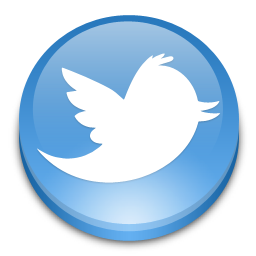 Twitter Button Icon