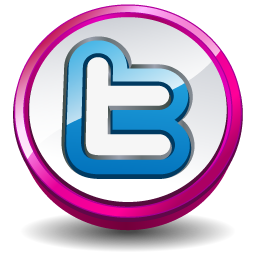 256x256 Twitter Pink Button Icon