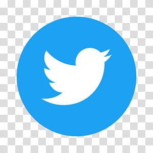 300x300 Icontexto Twitter Buttons, Icontexto Twitter Button X, Twitter