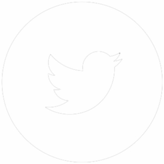 320x320 Free Twitter Icon Circle Png Image, Transparent Twitter Icon