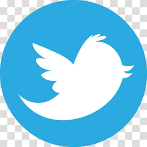 300x300 Quadrates Extended, Twitter Logo Icon Transparent Background Png