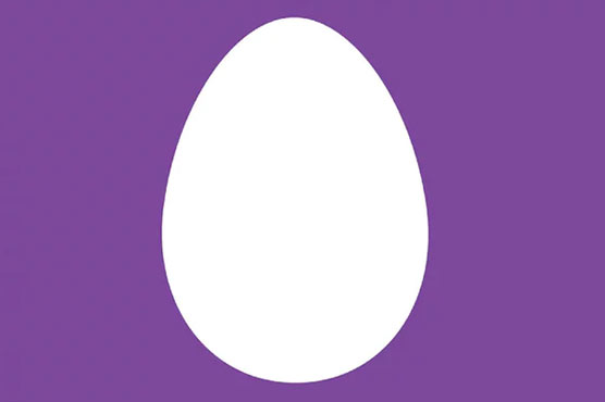556x370 Twitter Drops Egg Icon In Battle With Internet 'trolls