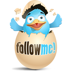 256x256 Twitter Break The Egg Icon Download Awesome Twitter Icons
