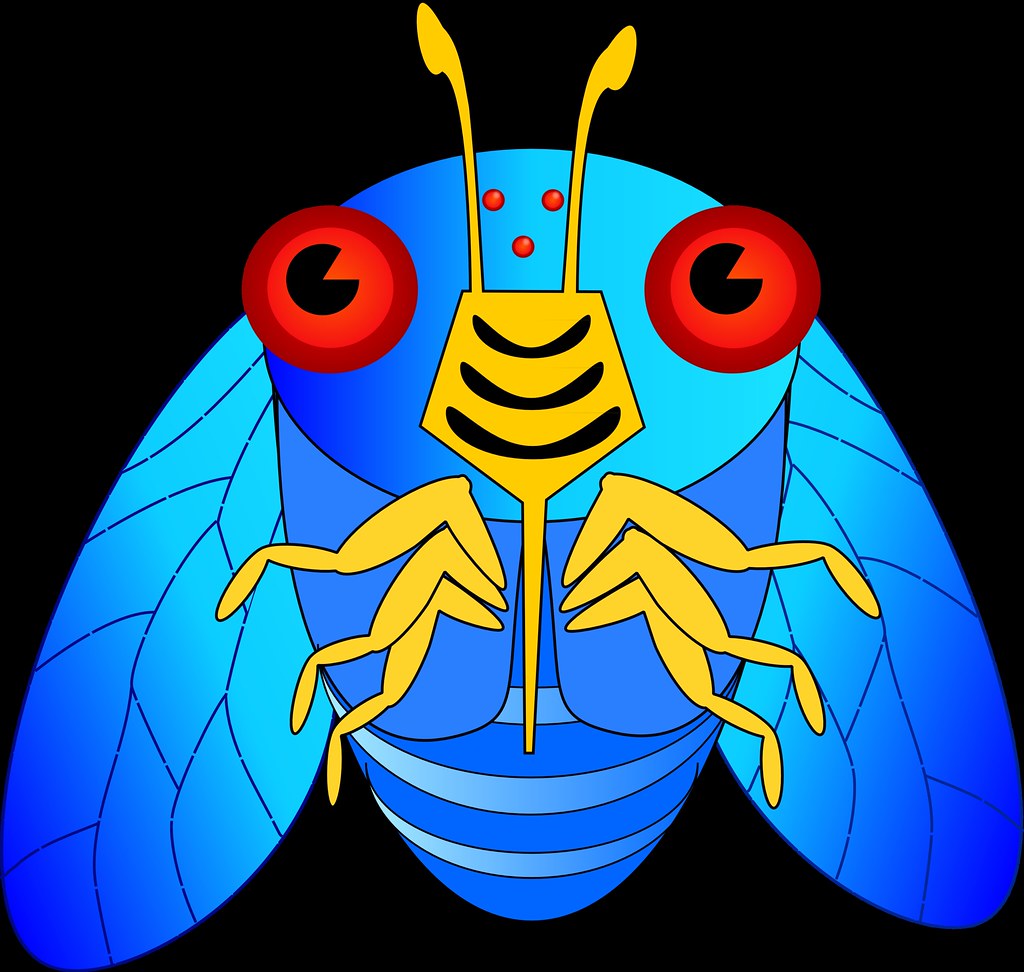 1024x972 Cicada Twitter Icon I Needed A Twitter Icon For My Cicada