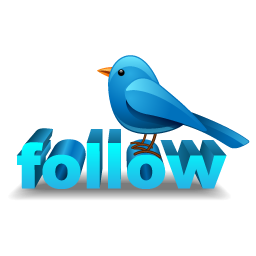 256x256 Twitter Bird Follow Icon, Png Clipart Image