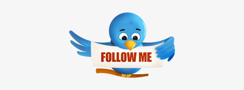 820x304 Twitter Bird Icon