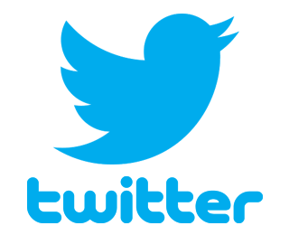 320x260 Twitter Logo
