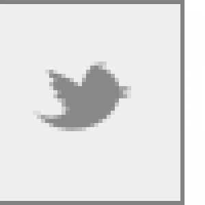 300x300 Twitter Icon