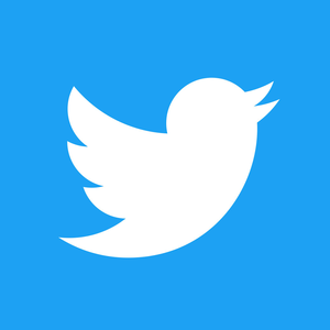300x300 How To Use Twitter Lite On Ios, Android Or Windows Phone
