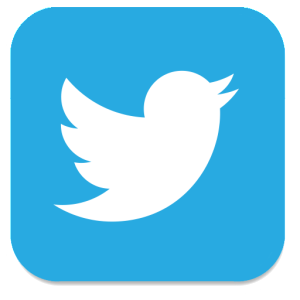 300x300 Twitter Icon
