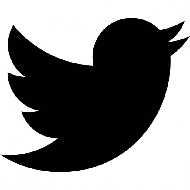 626x626 Envol Strategies Twitter Icon