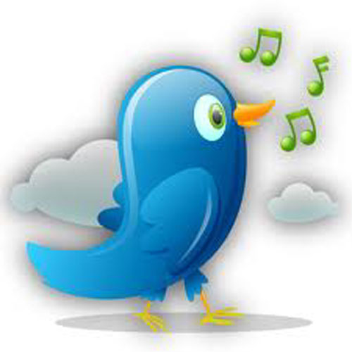 500x500 Beautiful Twitter Design Icons