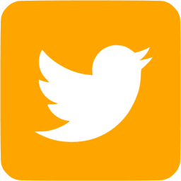 256x256 Orange Twitter Icon