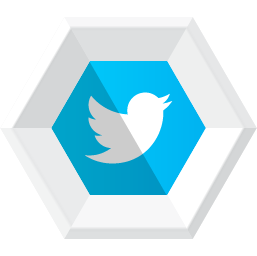 257x256 Twitter Icon