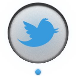 256x256 Twitter Icon