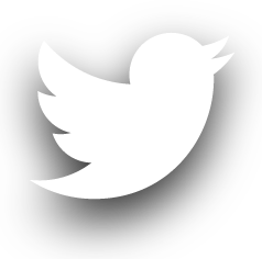 white twitter logo