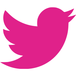 256x256 Barbie Pink Twitter Icon