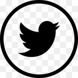 260x260 Black And White Twitter Logo Png Images In Collection
